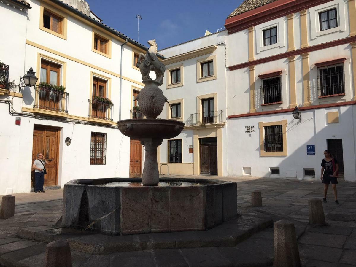 Guest house Patio De Lineros Cordoba