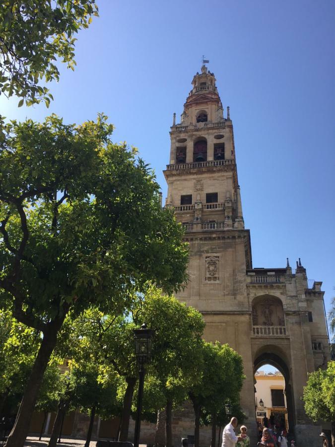 Patio De Lineros * Cordoba